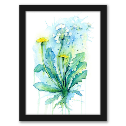 Dandelion by Sam Nagel - Framed Print