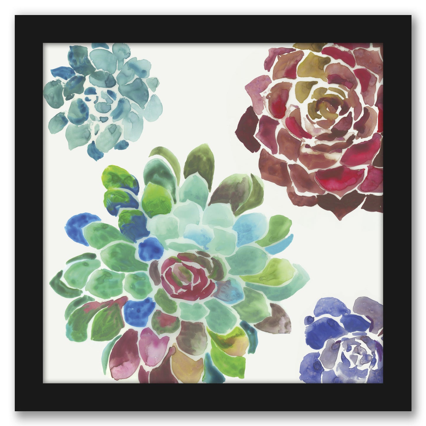 Water Succulents I by PI Creative Art - Framed Print