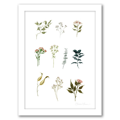 Delicate Botanica Pieces by Shealeen Louise - Framed Print