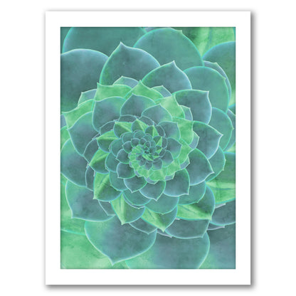 Geometric Succulent by Emanuela Carratoni - Framed Print