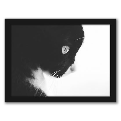Day Dreaming Iii by Ingrid Beddoes - Framed Print