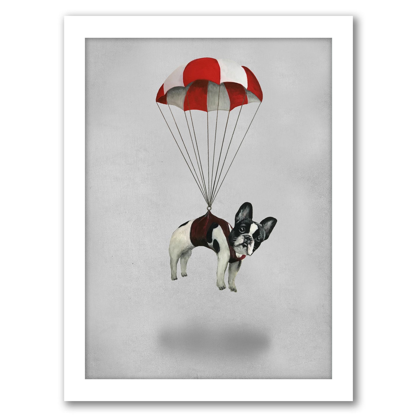 Bulldog With Parachute By Coco De Paris - White Framed Print