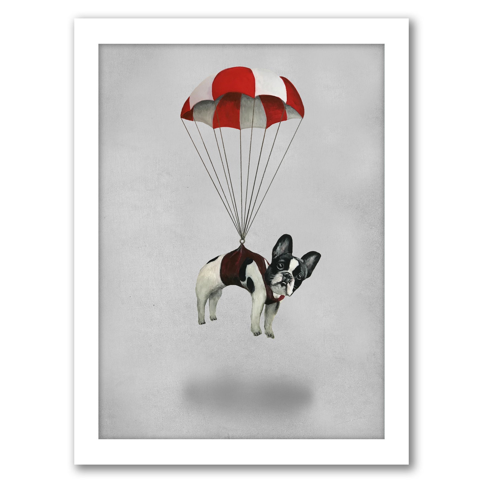 Bulldog With Parachute By Coco De Paris - Framed Print