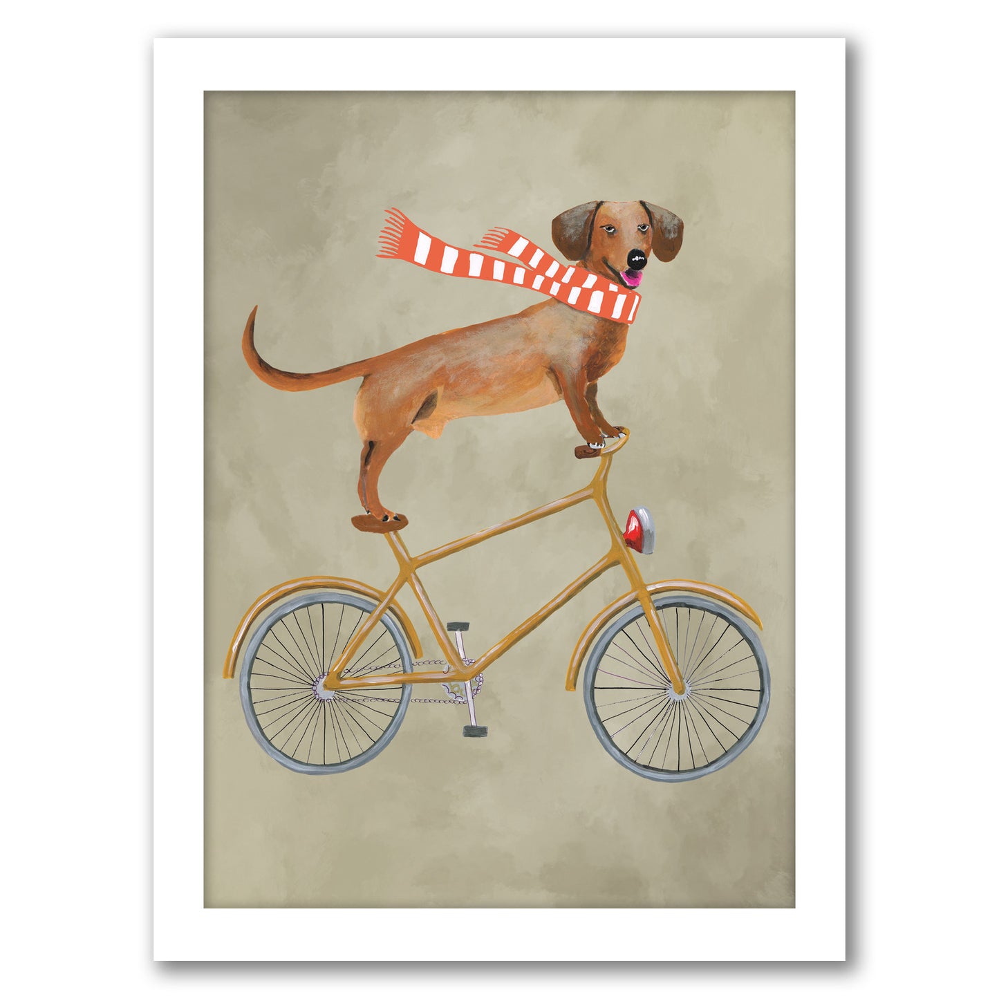 Daschund On Bicycle By Coco De Paris - White Framed Print