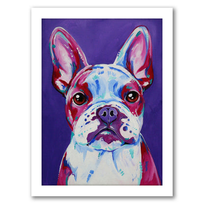 French Bulldog by Eve Izzett - Framed Print