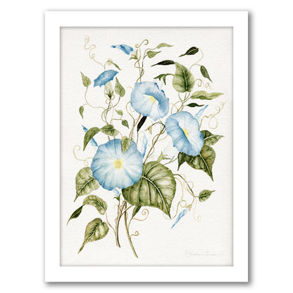 Morning Glories by Shealeen Louise - Framed Print