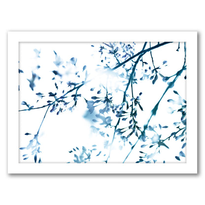 Cherry Blossom 8 by Mirja Paljakka - Framed Print