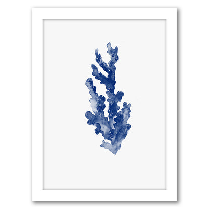 Blue Coral 4 By Nuada - Framed Print