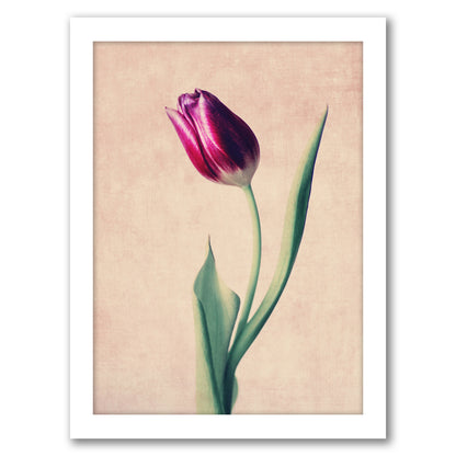 Grace by Ingrid Beddoes - Framed Print