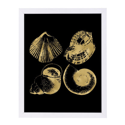 Seashell Quad Gold On by Amy Brinkman Framed Print - Americanflat