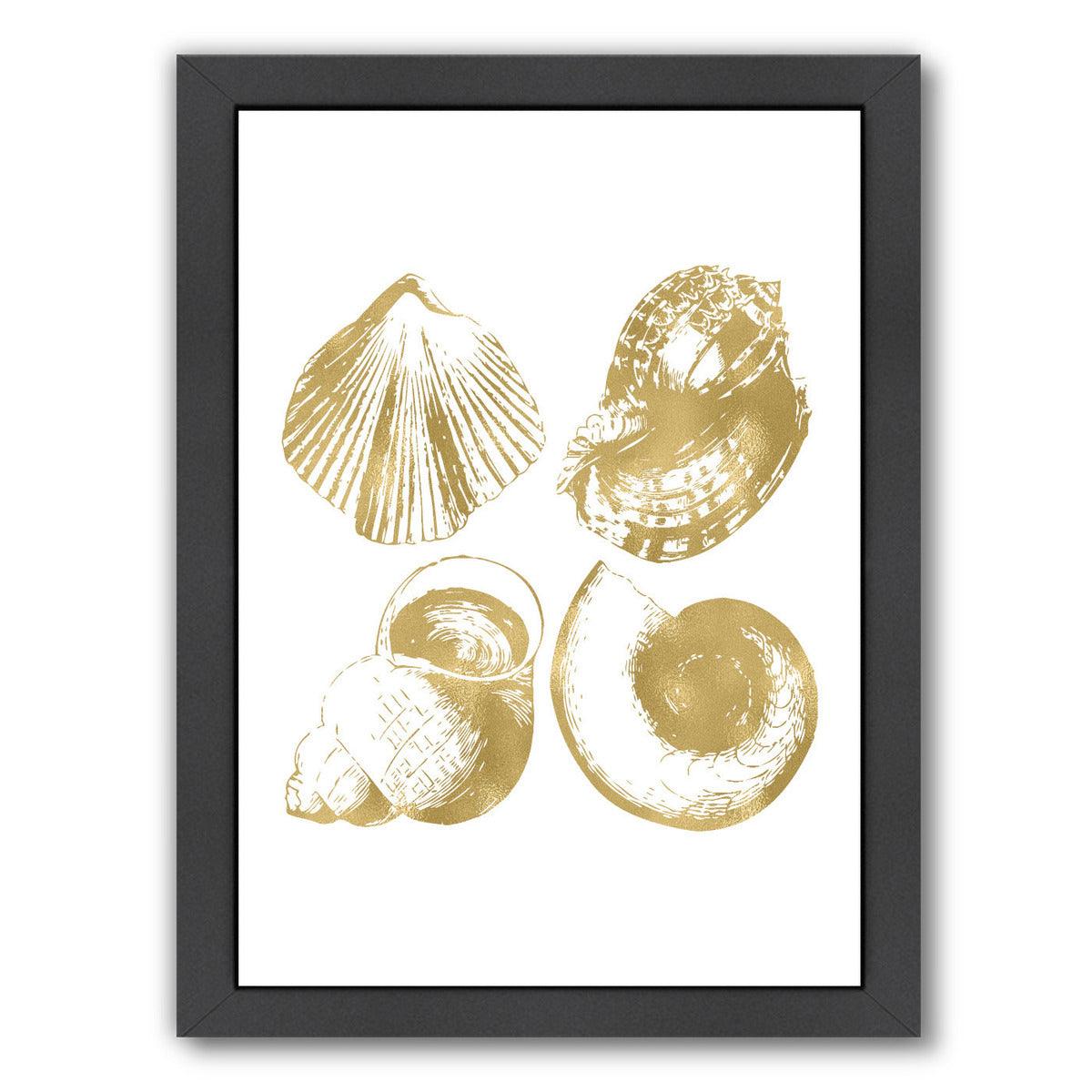 Seashell Quad Gold On White by Amy Brinkman Framed Print - Americanflat