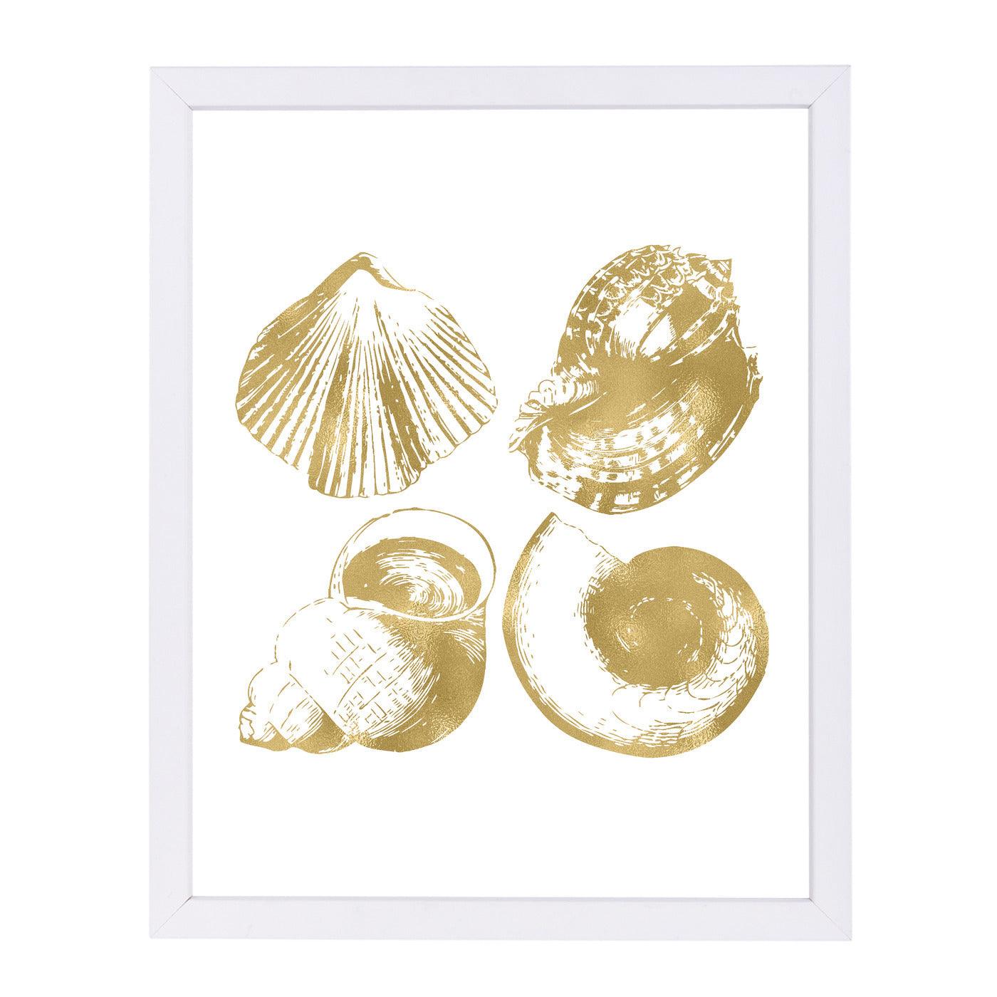 Seashell Quad Gold On White by Amy Brinkman Framed Print - Americanflat