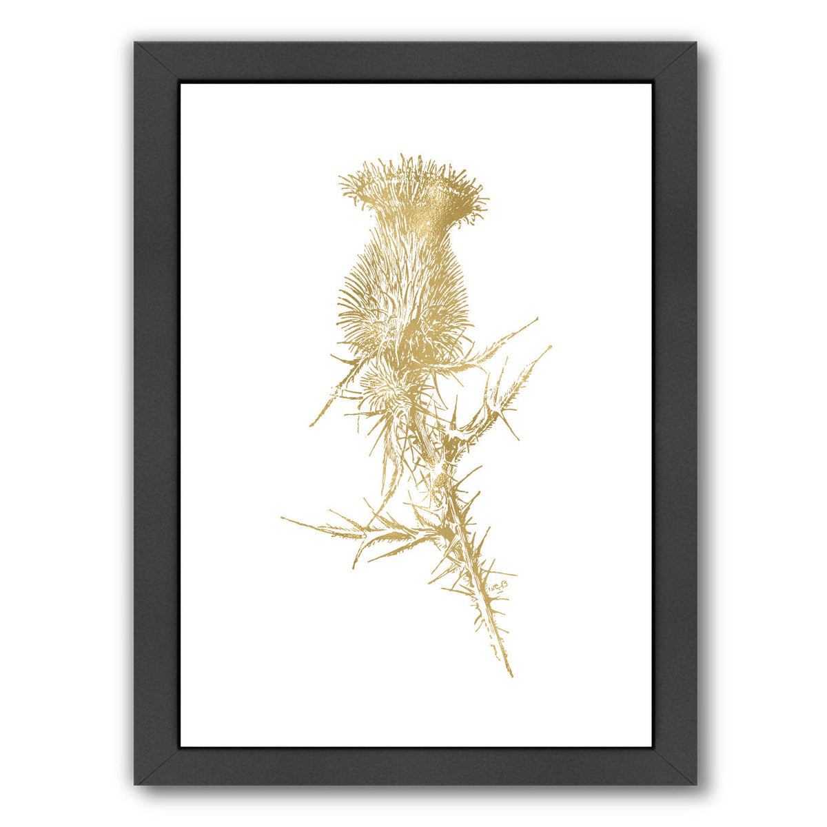 Thistle 1 Gold On White by Amy Brinkman Framed Print - Americanflat
