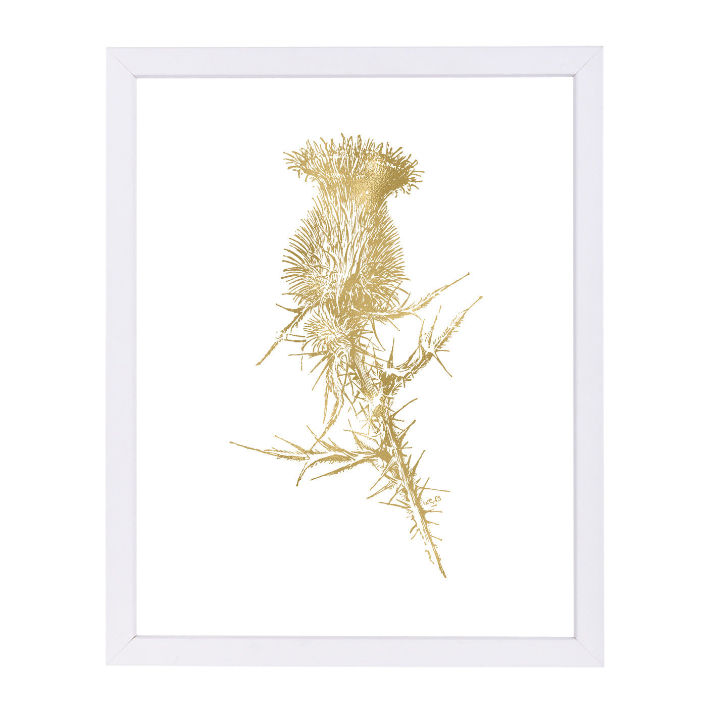Thistle 1 Gold On White by Amy Brinkman Framed Print - Americanflat