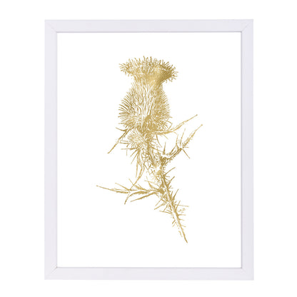 Thistle 1 Gold On White by Amy Brinkman Framed Print - Americanflat