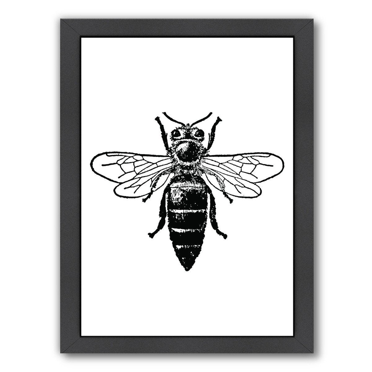 Bumblebee by Amy Brinkman Framed Print - Americanflat