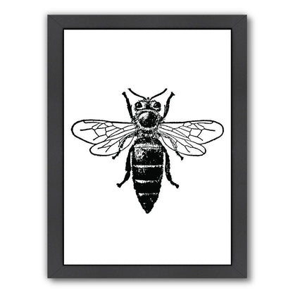 Bumblebee by Amy Brinkman Framed Print - Americanflat