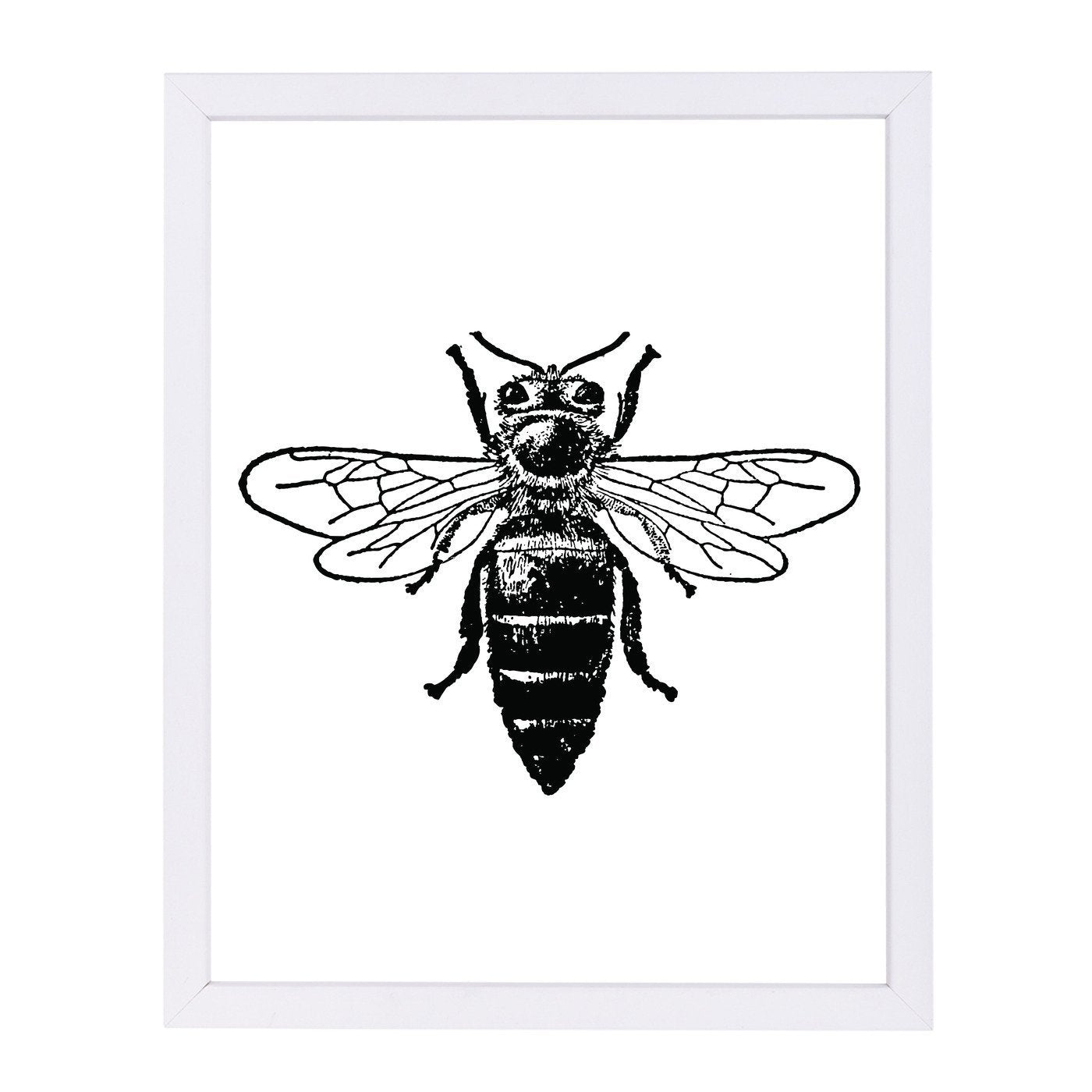 Bumblebee by Amy Brinkman Framed Print - Americanflat