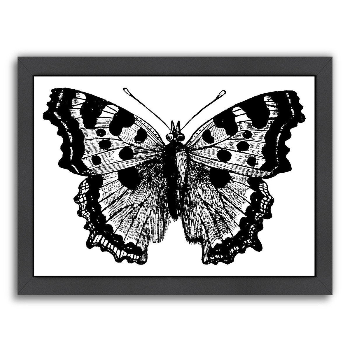 Butterfly 1 by Amy Brinkman Framed Print - Americanflat