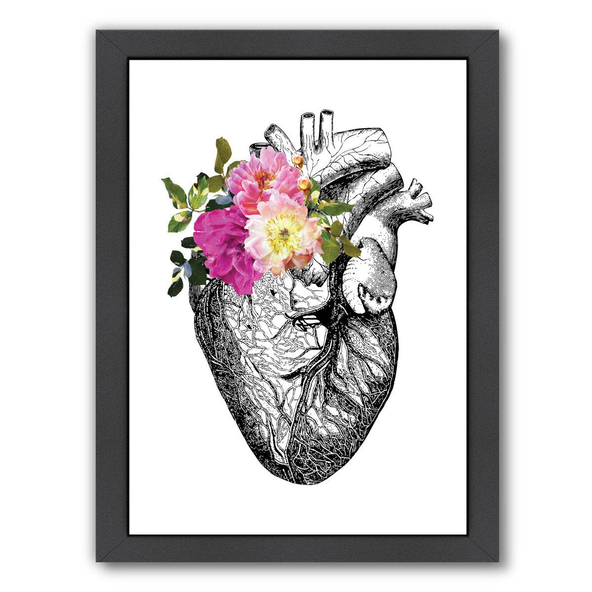Heart Anatomical Floral by Amy Brinkman Framed Print - Wall Art - Americanflat