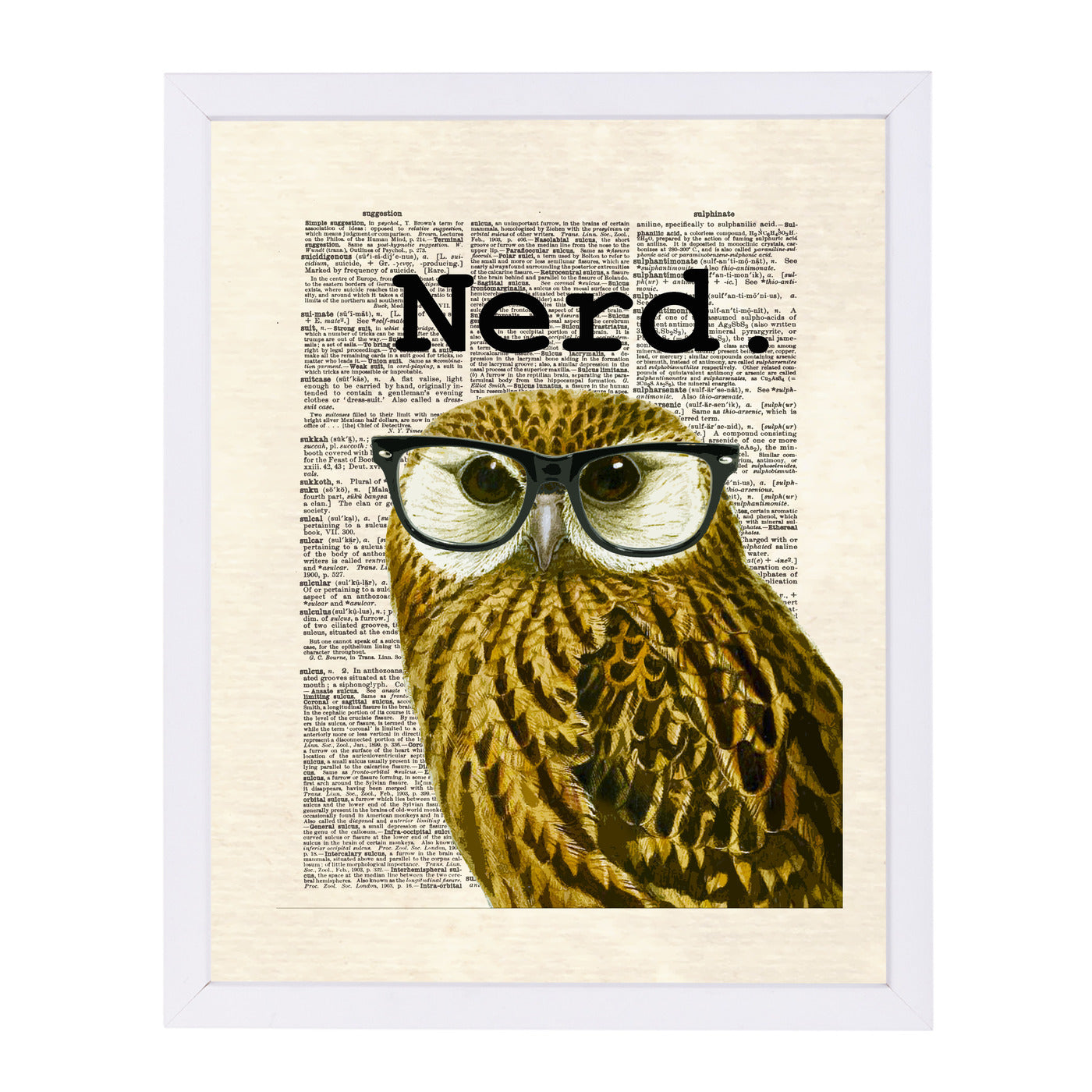 owl nerd by Matt Dinniman Framed Print - Americanflat