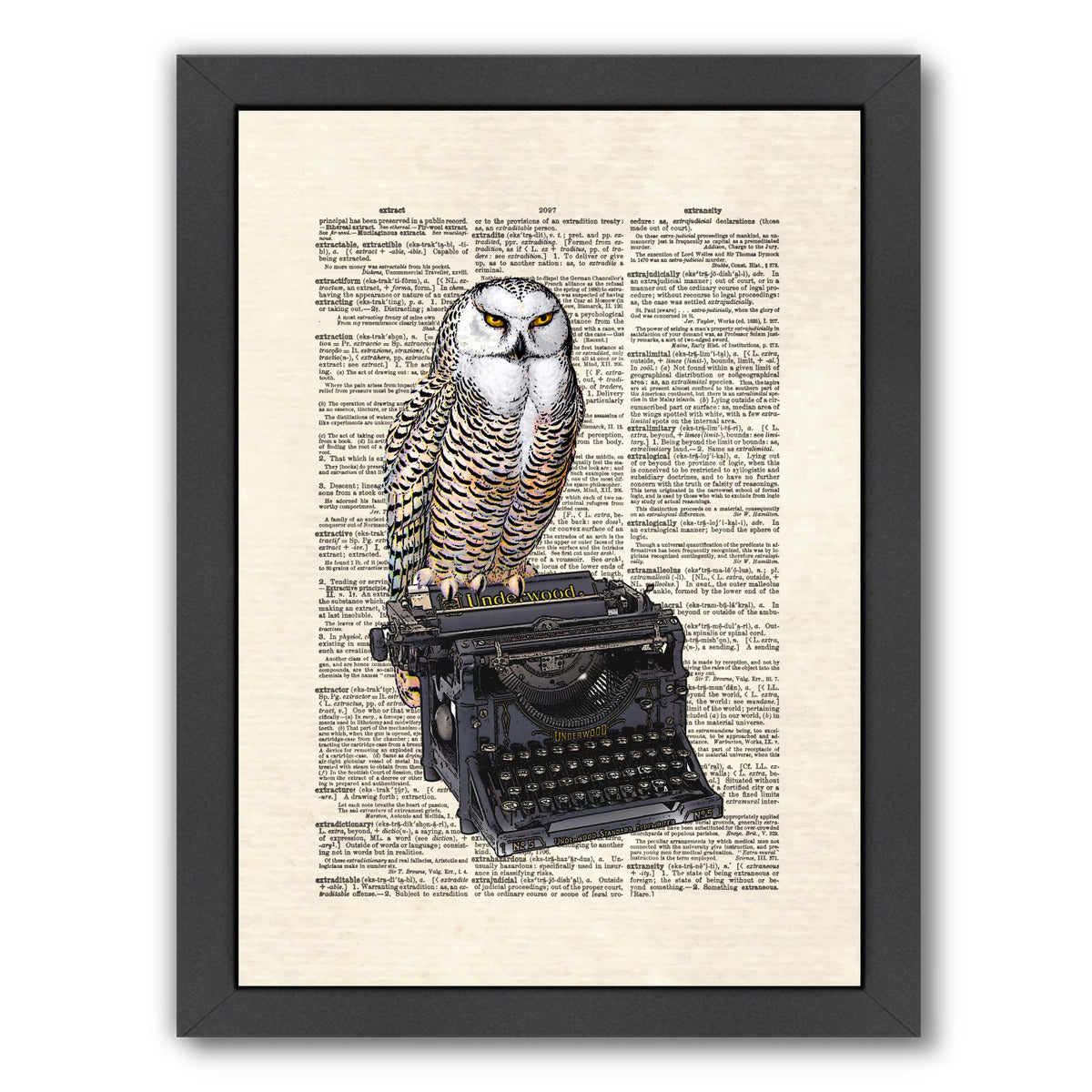 Typewriter Owl by Matt Dinniman Framed Print - Americanflat