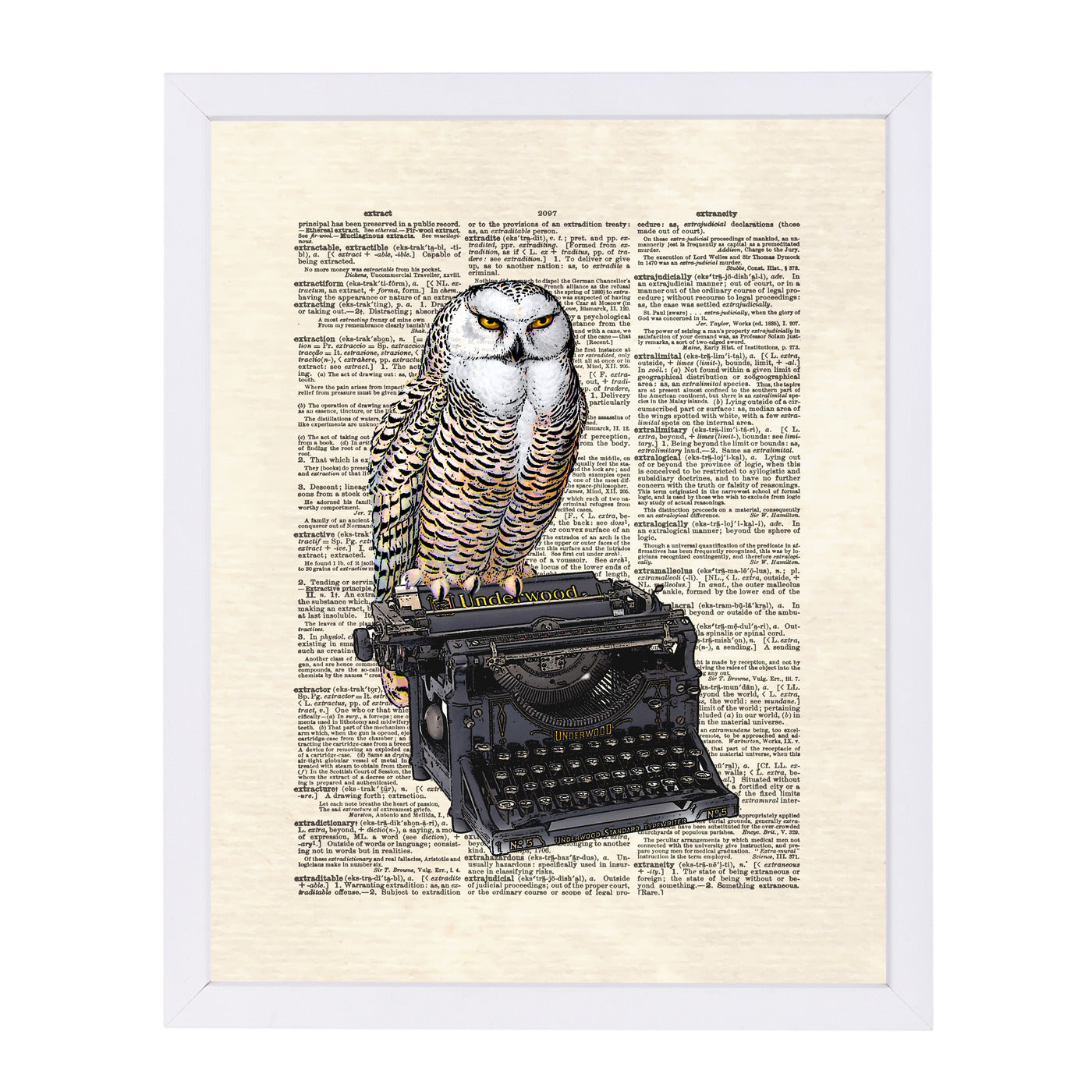 Typewriter Owl by Matt Dinniman Framed Print - Americanflat