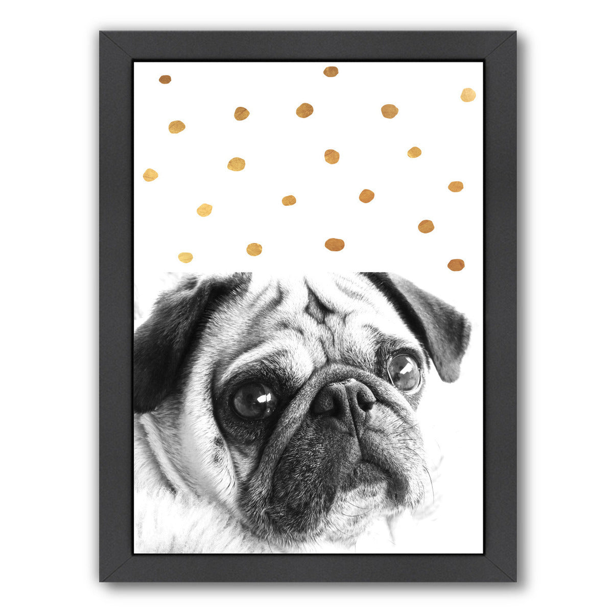 Dogb3 by Ikonolexi Framed Print - Americanflat