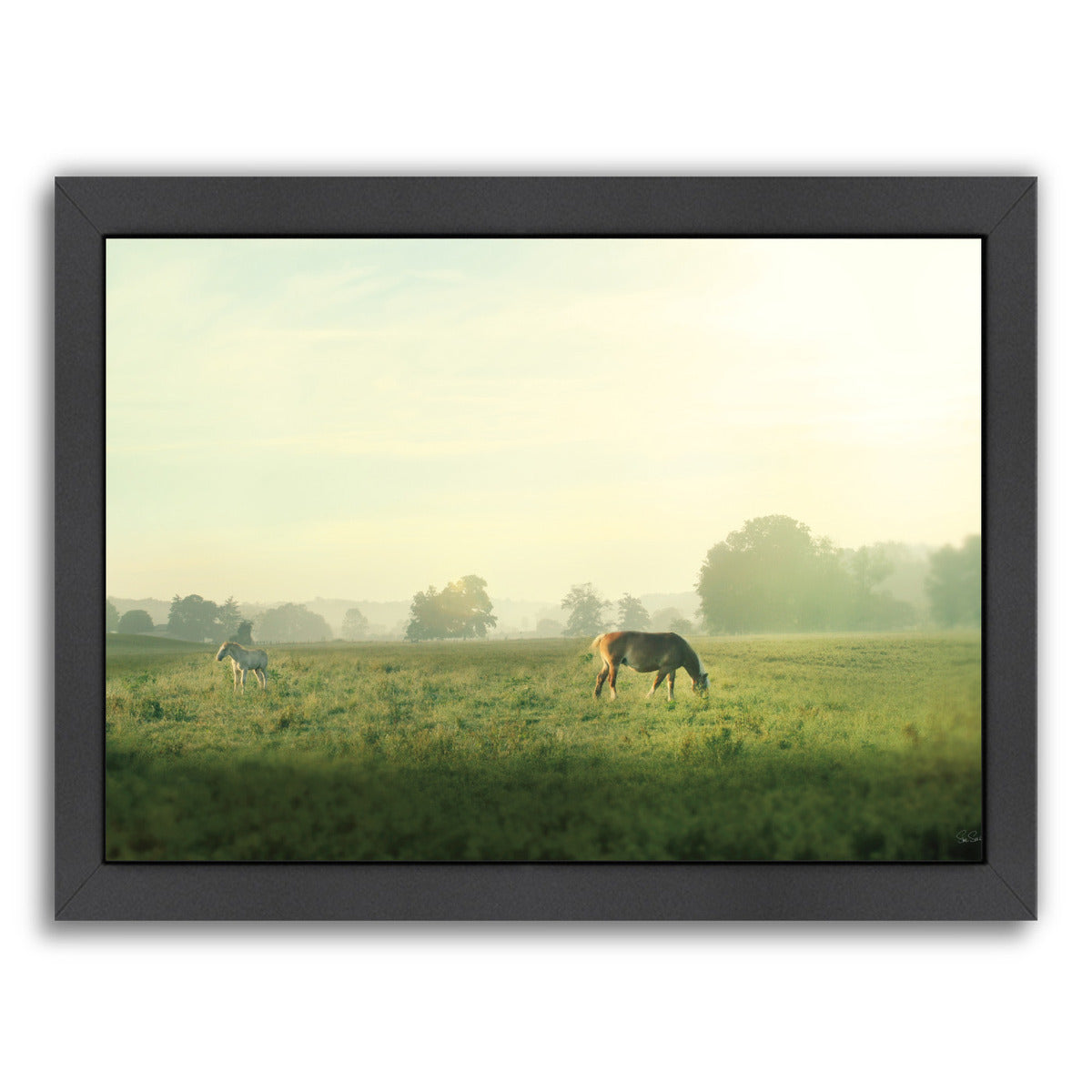 Farm Morning I by Wild Apple Framed Print - Americanflat