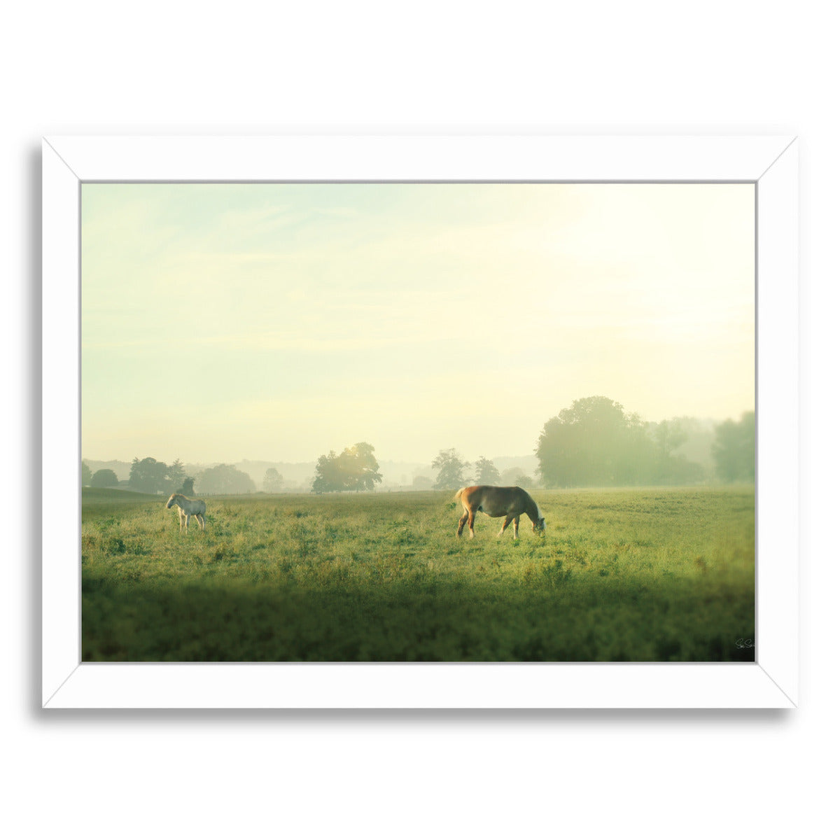 Farm Morning I by Wild Apple Framed Print - Americanflat
