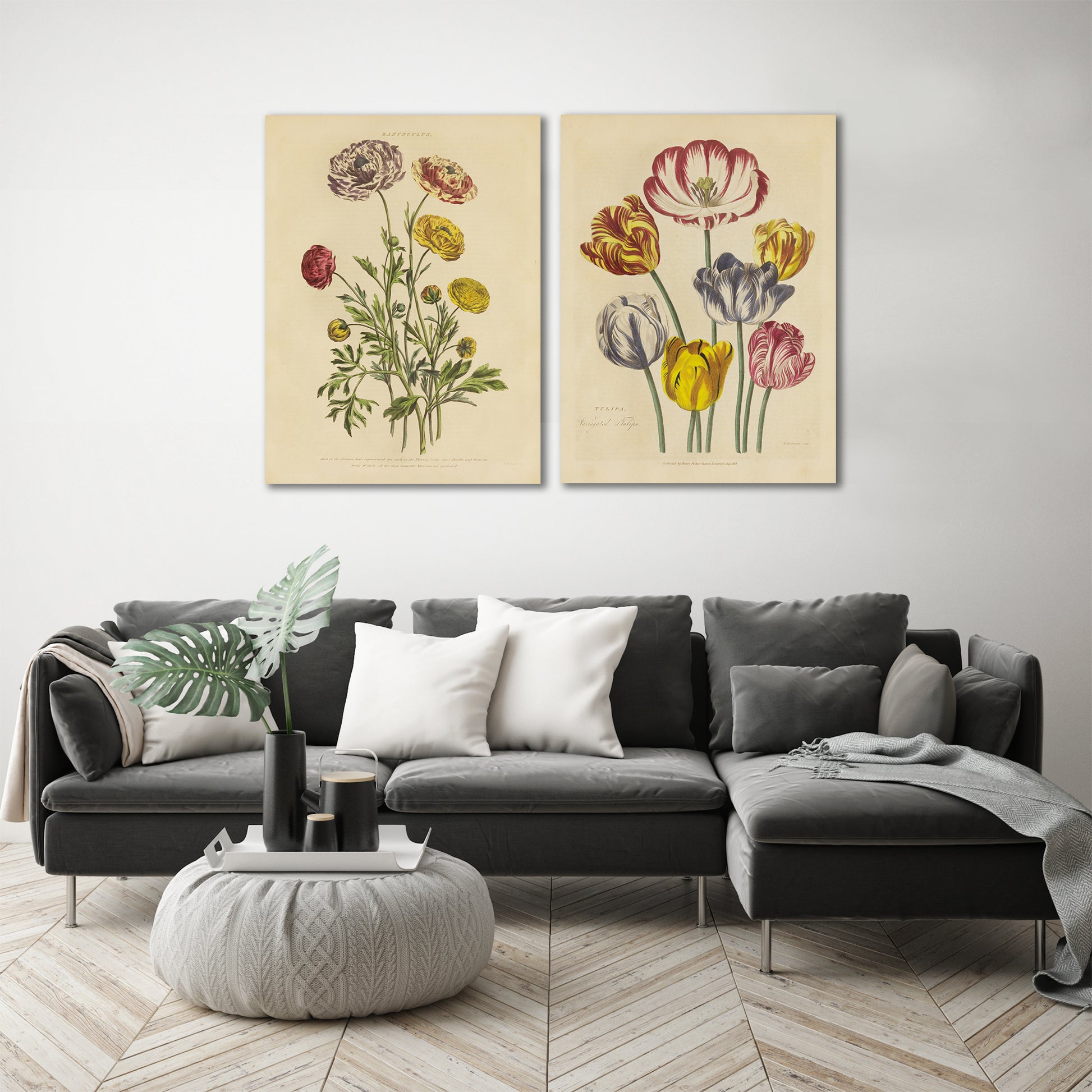  Herbal Botanical by Wild Apple - 2 Piece Wrapped Canvas Set - Art Set - Americanflat