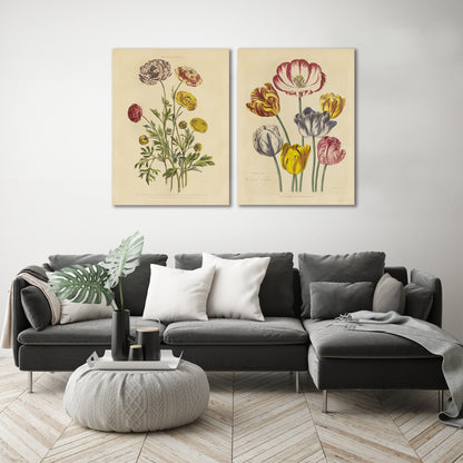  Herbal Botanical by Wild Apple - 2 Piece Wrapped Canvas Set - Art Set - Americanflat