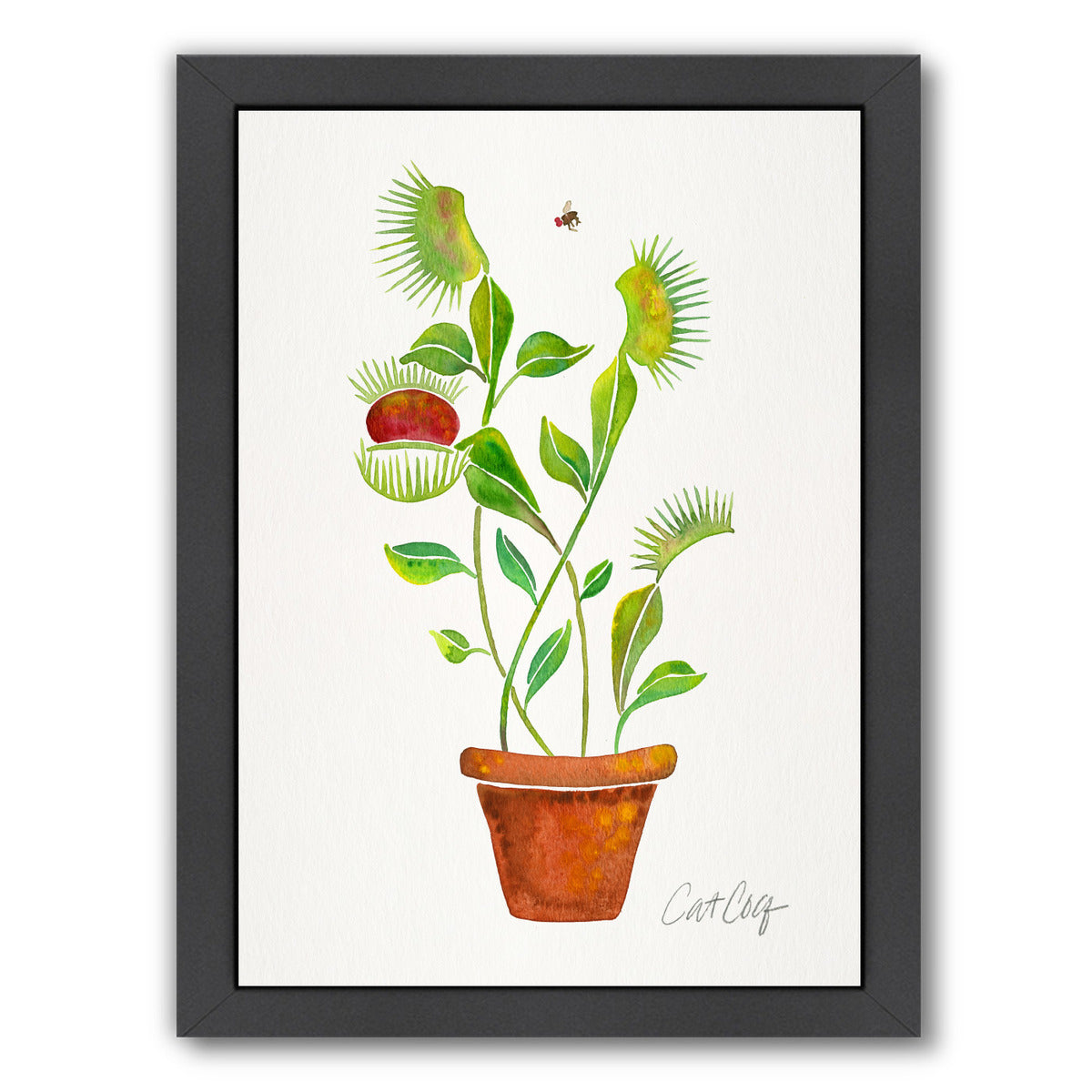 Venus Fly Trap by Cat Coquillette Framed Print - Americanflat
