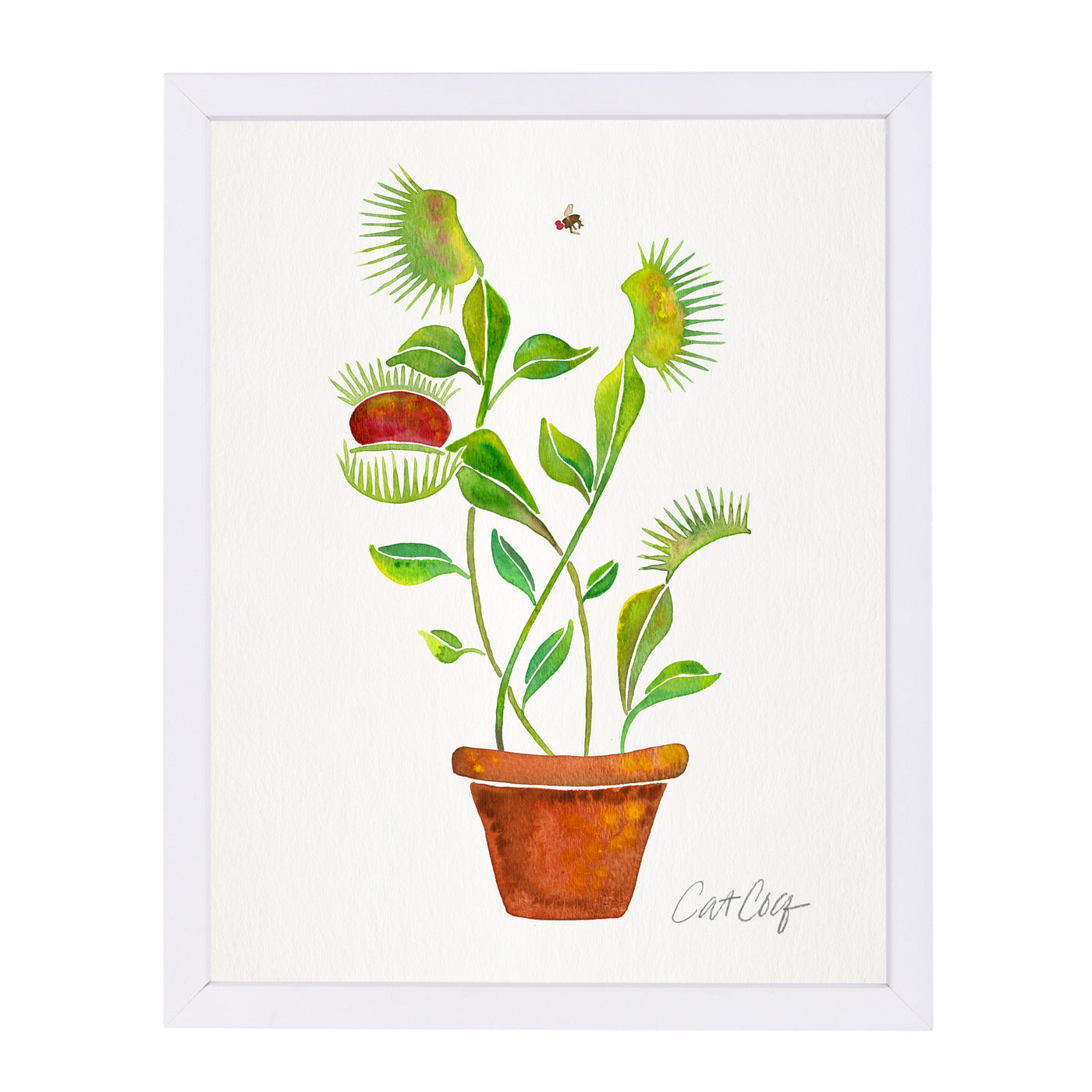 Venus Fly Trap by Cat Coquillette Framed Print - Americanflat