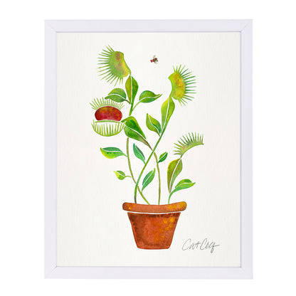 Venus Fly Trap by Cat Coquillette Framed Print - Americanflat