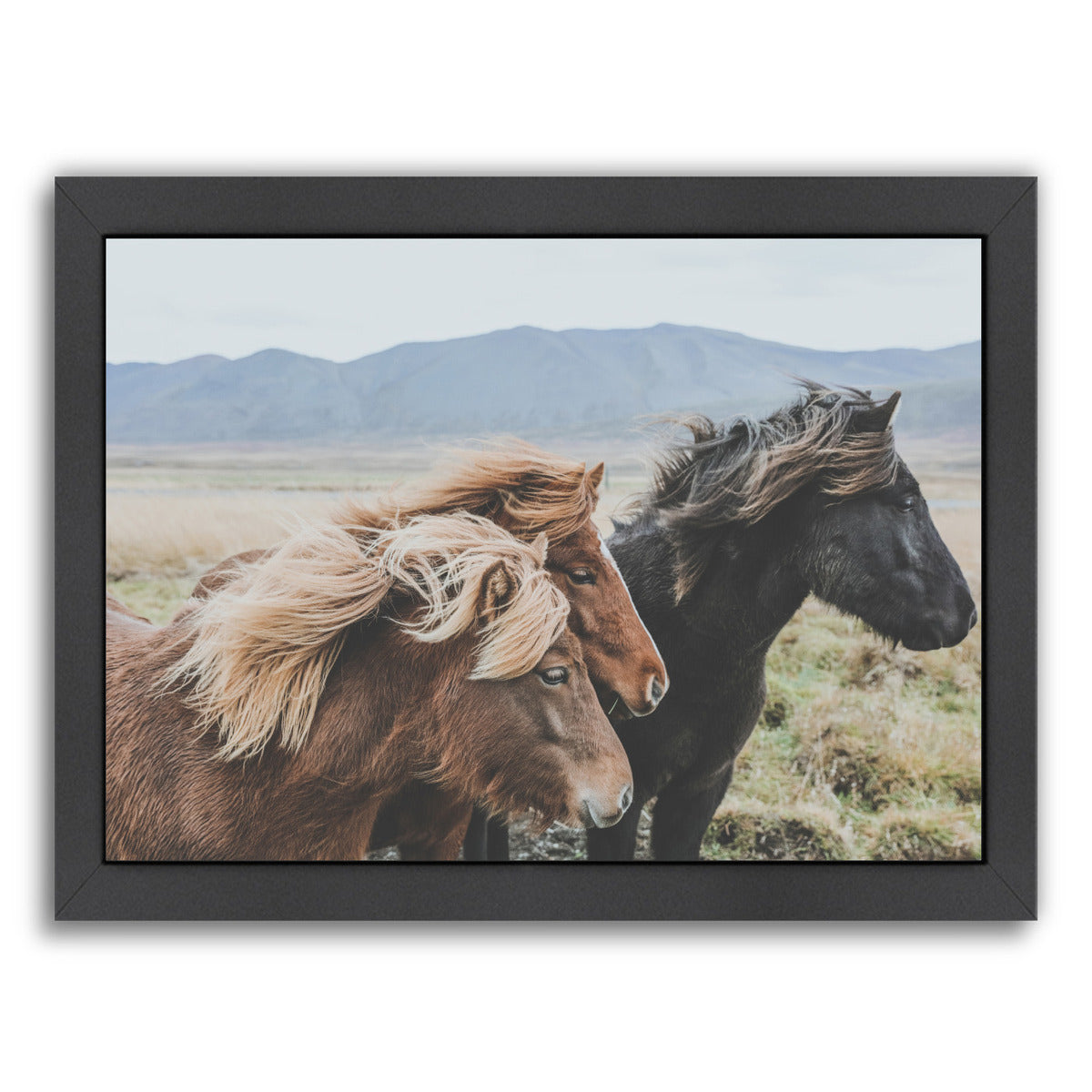 Eastern Region  Iceland by Luke Gram Framed Print - Americanflat