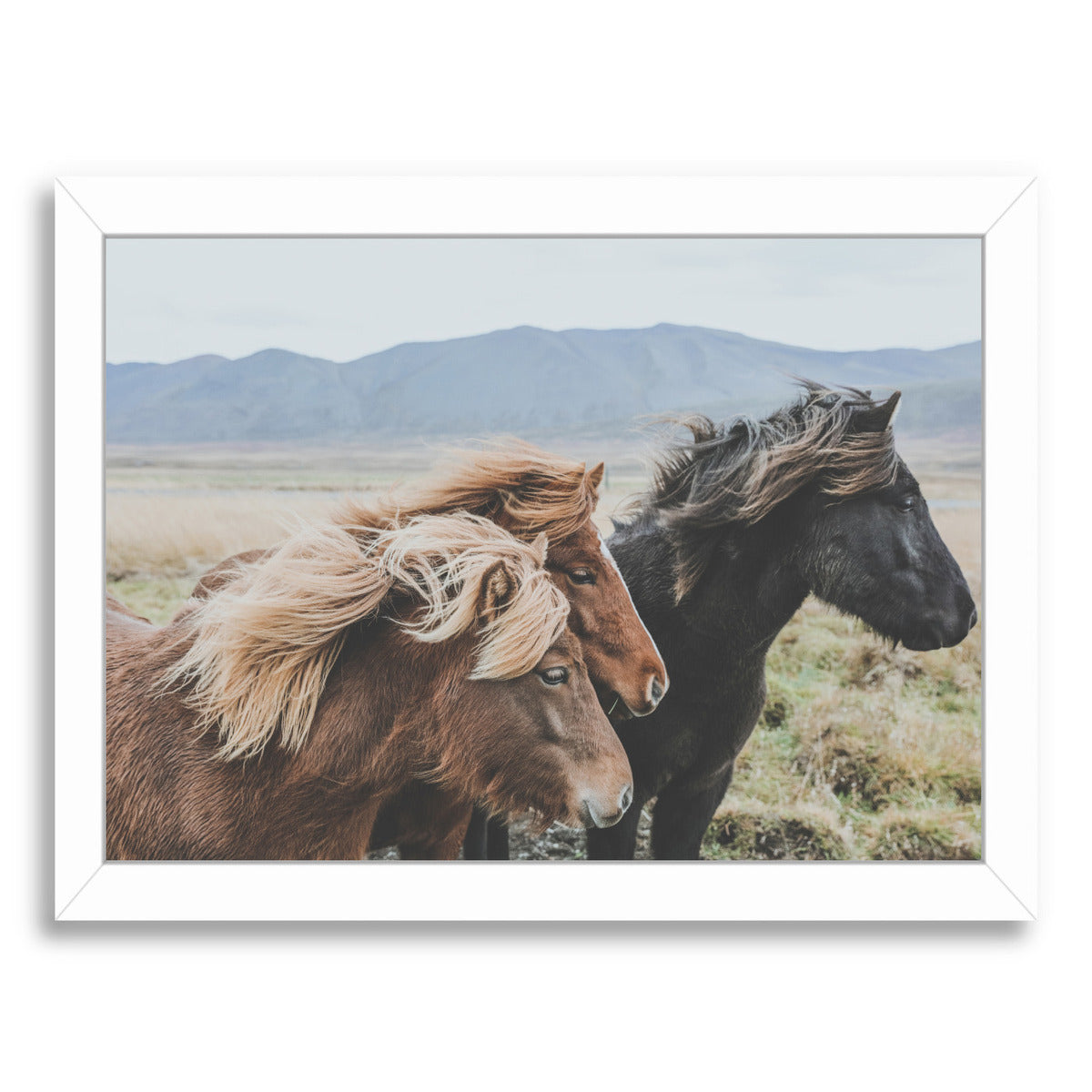 Eastern Region  Iceland by Luke Gram Framed Print - Americanflat