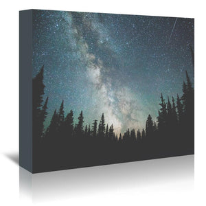 Stars Over The Forest Iii by Luke Gram Wrapped Canvas - Wrapped Canvas - Americanflat