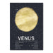 Venus by Tracie Andrews Art Print - Art Print - Americanflat