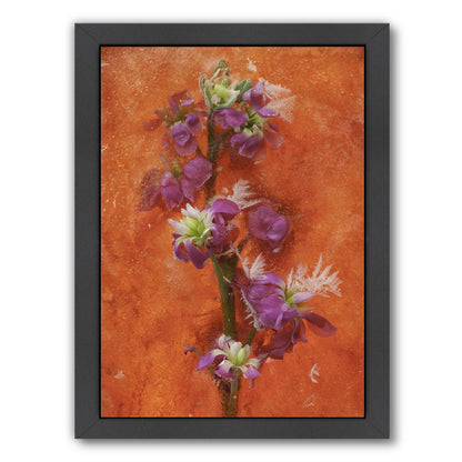 Delicate Creations by Zina Zinchik Framed Print - Americanflat
