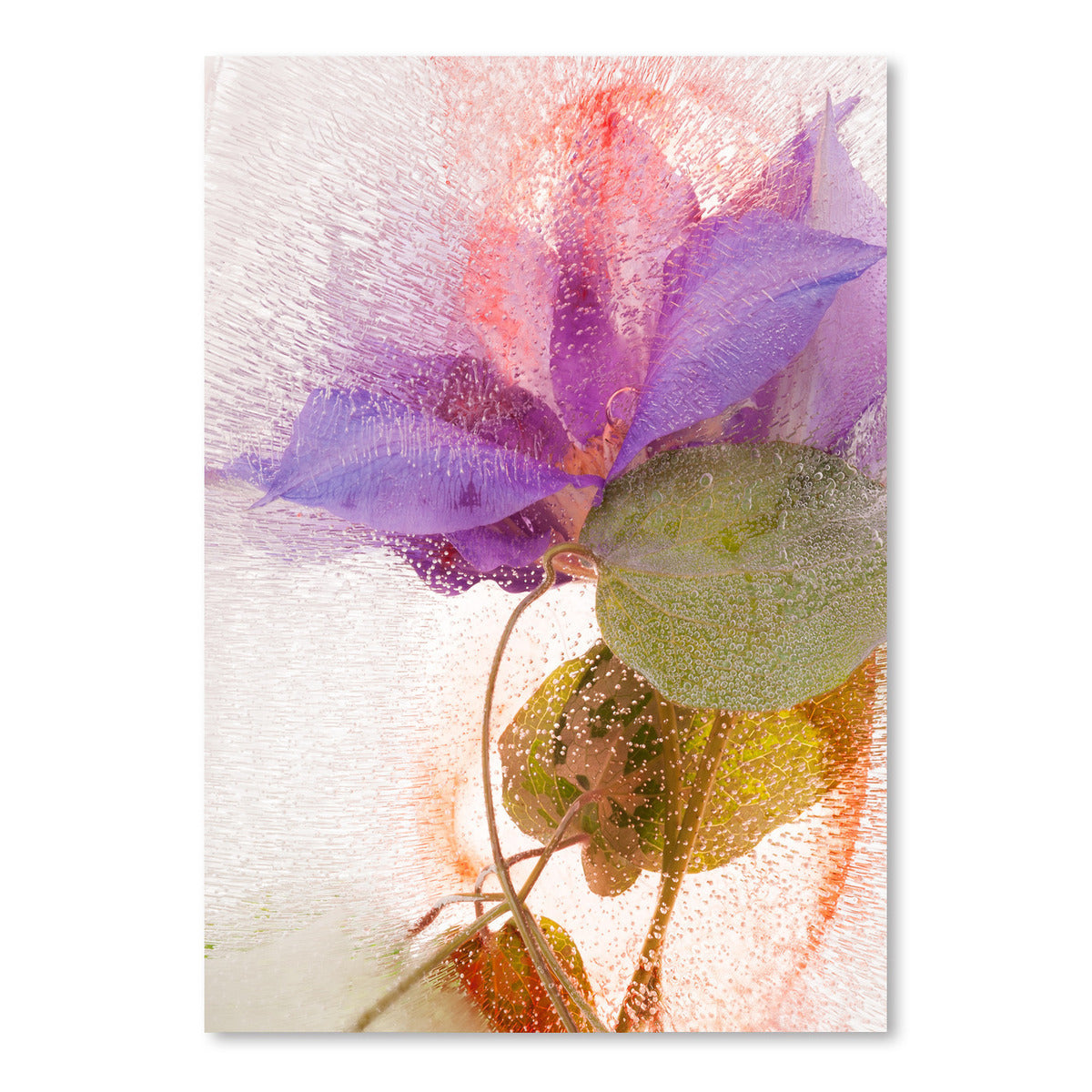 Entangled by Zina Zinchik Art Print - Art Print - Americanflat