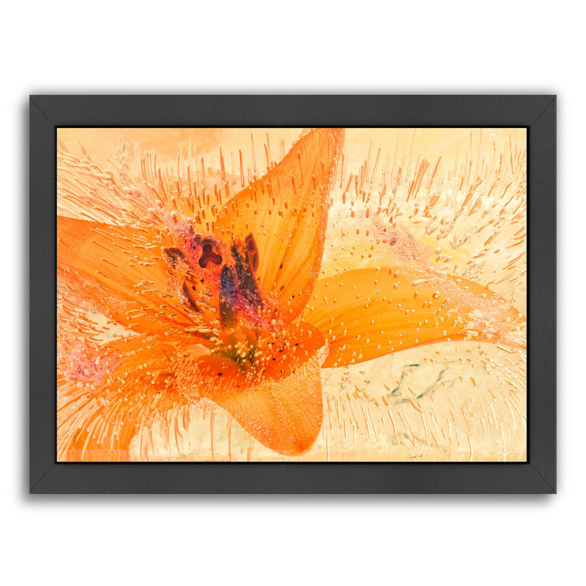 Sweet Awakening by Zina Zinchik Framed Print - Americanflat