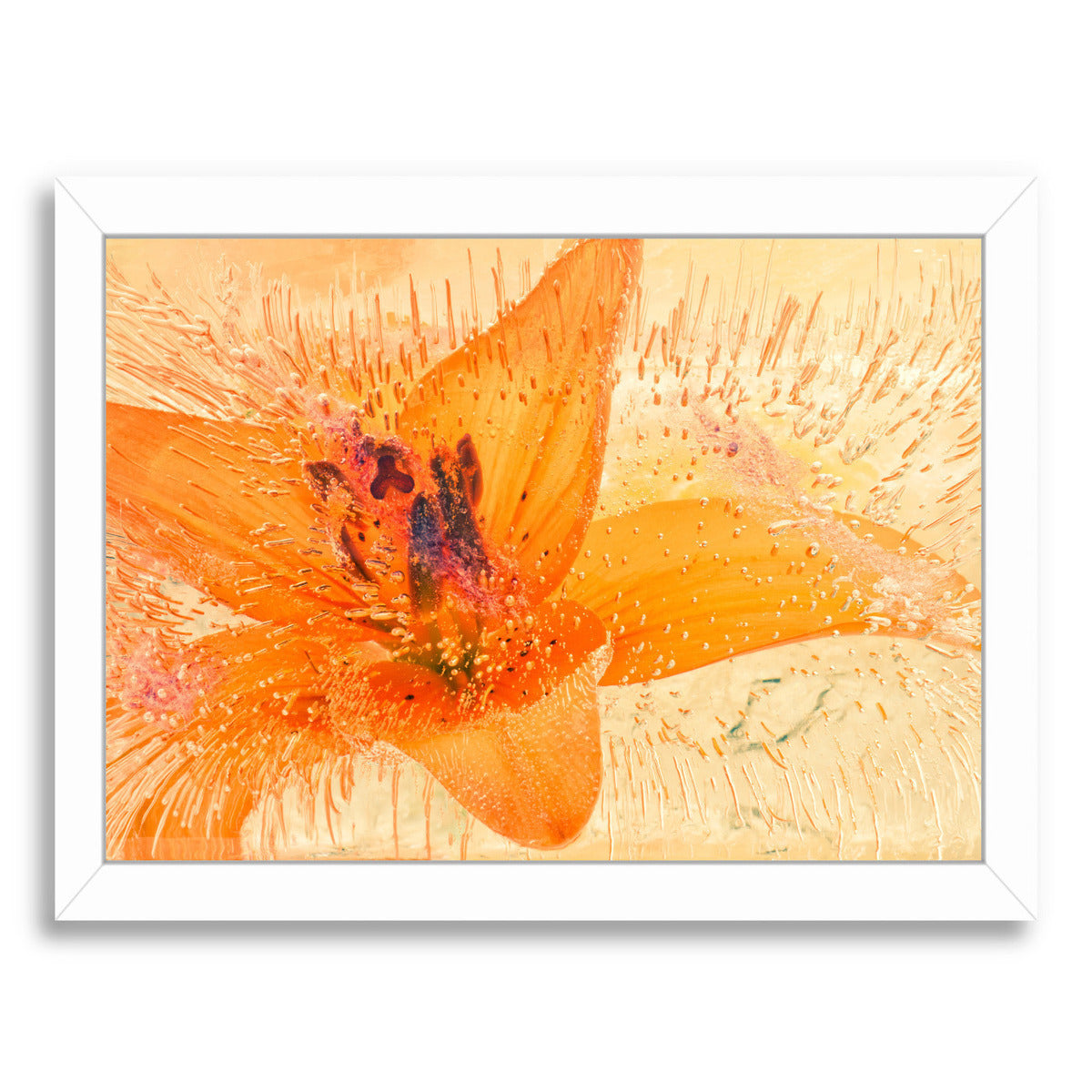 Sweet Awakening by Zina Zinchik Framed Print - Americanflat