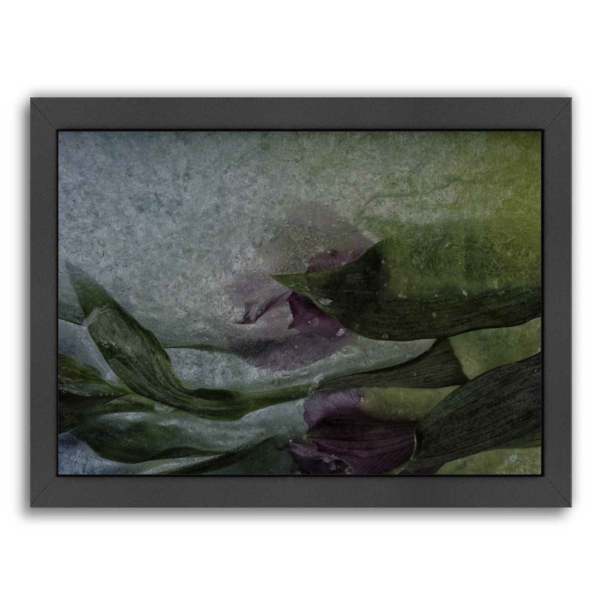 Where Mermaids Hide by Zina Zinchik Framed Print - Americanflat