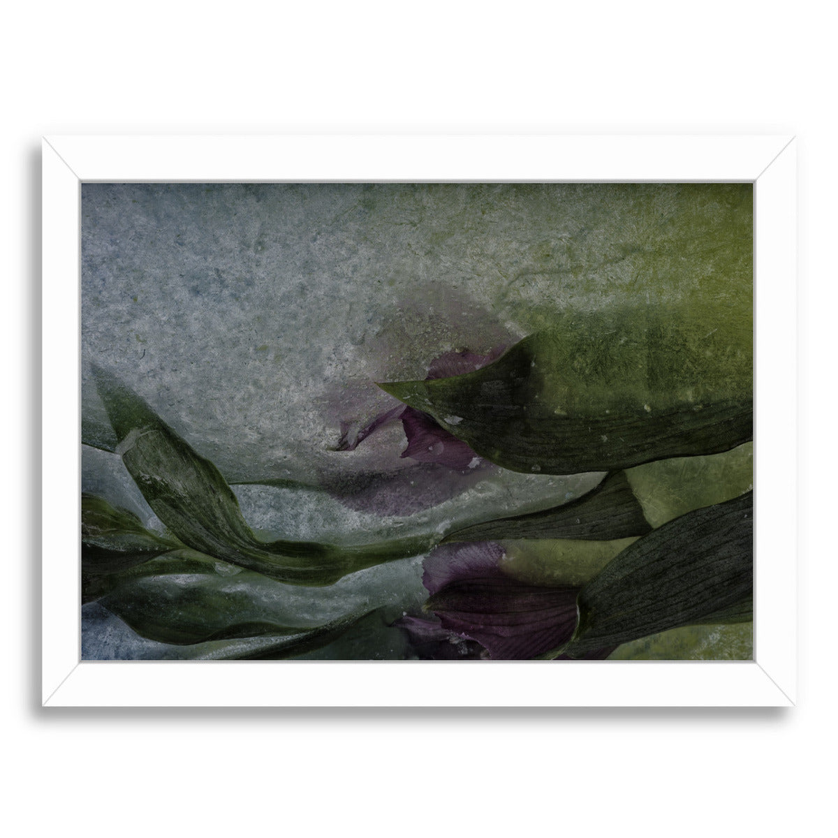 Where Mermaids Hide by Zina Zinchik Framed Print - Americanflat