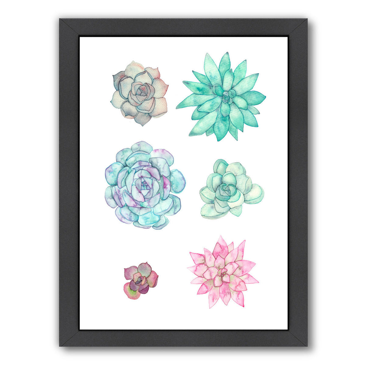 Succulent Print by Elena O'Neill Framed Print - Americanflat