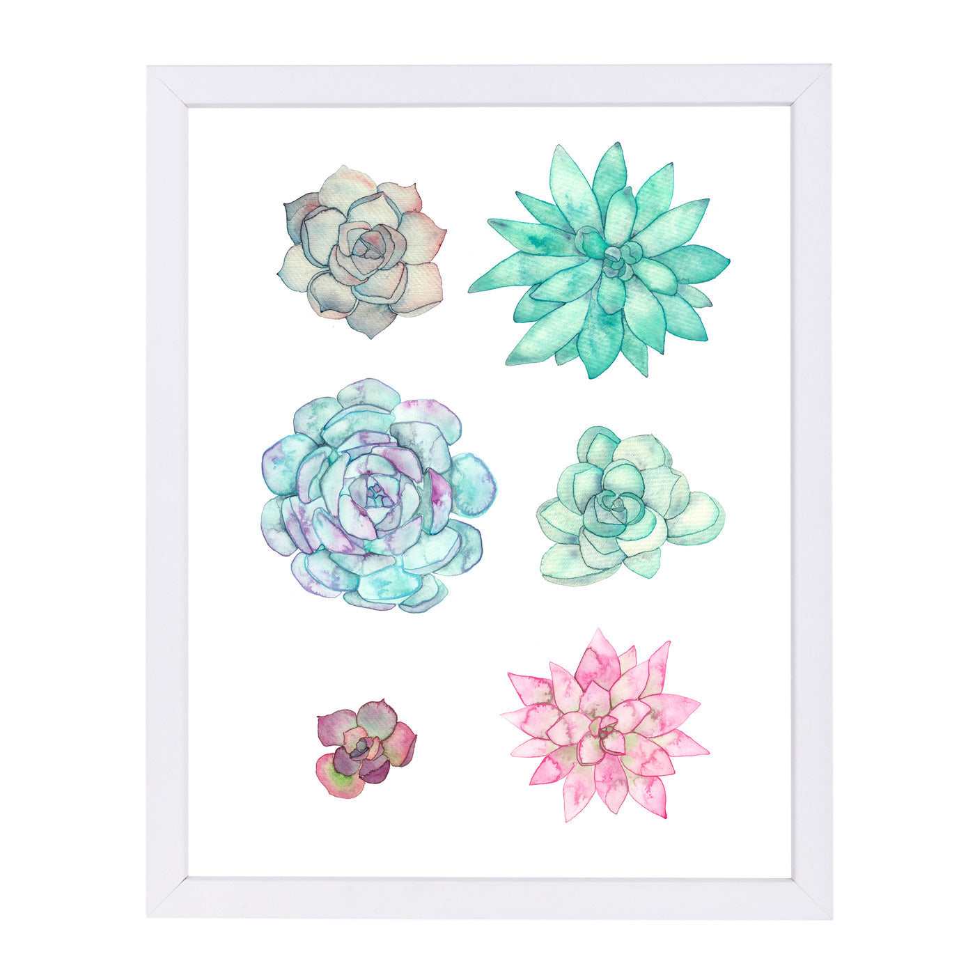 Succulent Print by Elena O'Neill Framed Print - Americanflat