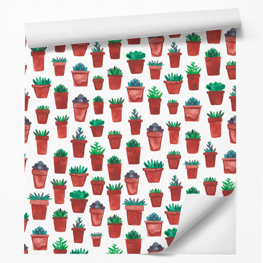 18' L x 24" W Peel & Stick Wallpaper Roll - Succulent Pots by Elena ONeill - Wallpaper - Americanflat