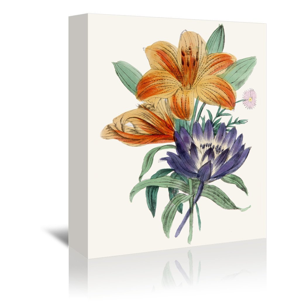 American Flora Lilium by New York Botanical Garden Wrapped Canvas - Wrapped Canvas - Americanflat