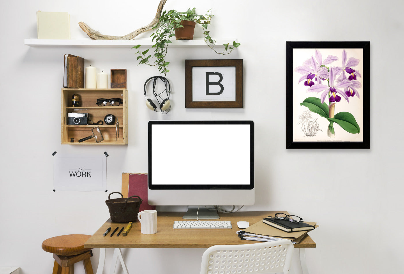 Fitch Orchid Cattleya Superba Splendens by New York Botanical Garden Framed Print - Americanflat